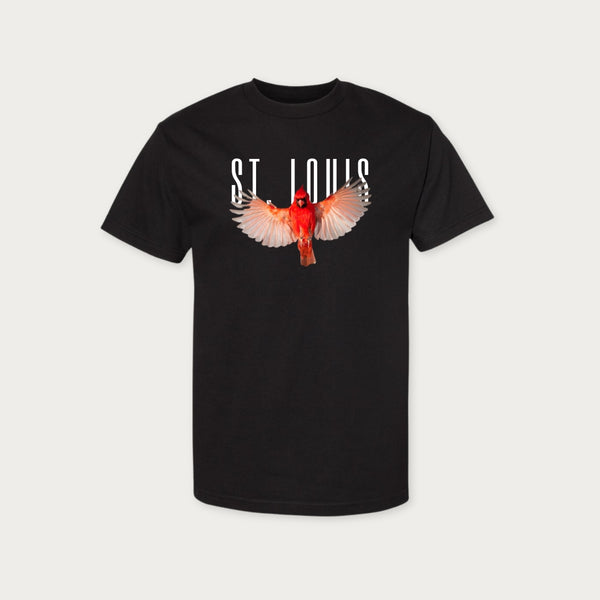 Wingspan unisex tee