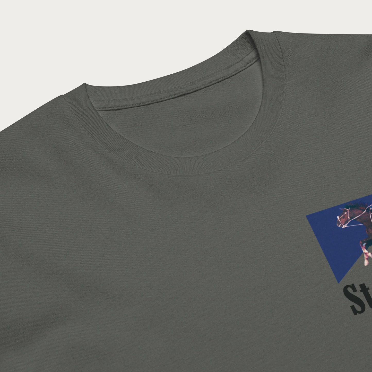 St. Louis City Unisex premium t-shirt