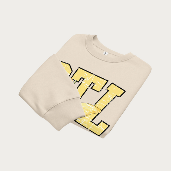 Butterfly Emporium Oversized heavyweight sweatshirt