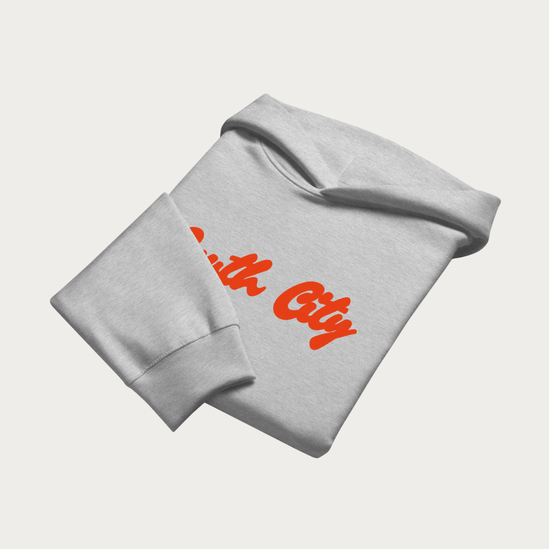 South City Oversized heavyweight hoodie