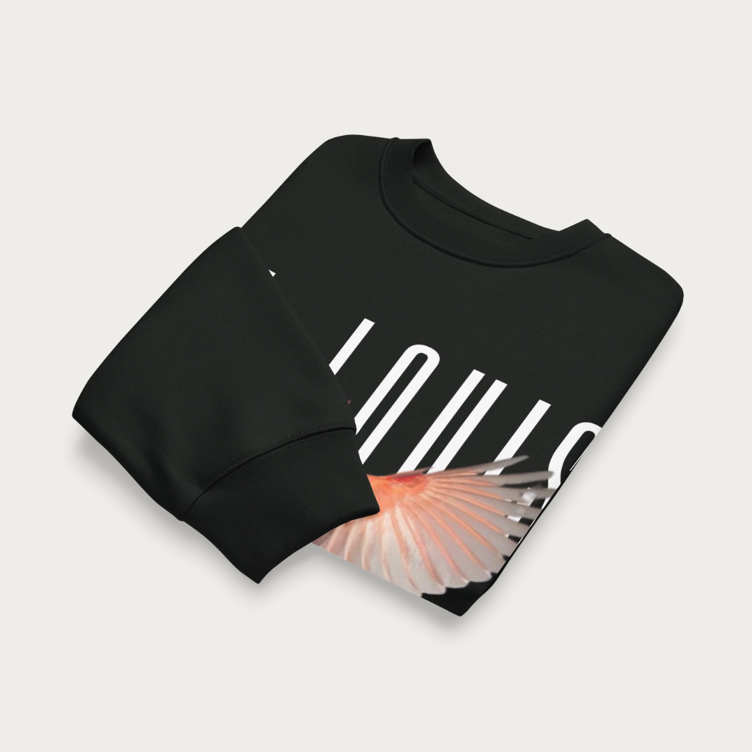 Wingspan Oversized heavyweight sweatshirt