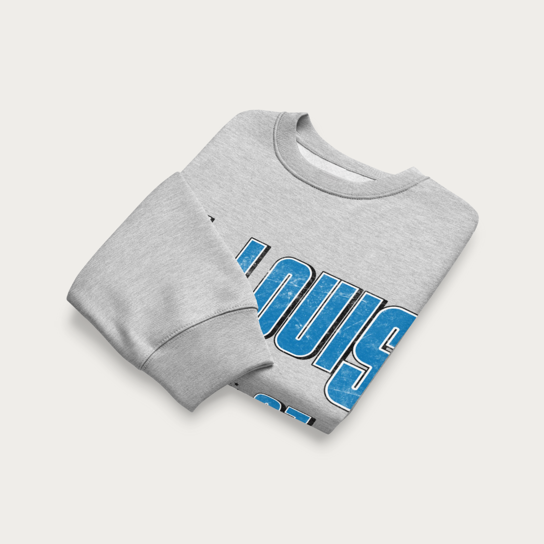Bleed Blue Oversized heavyweight sweatshirt