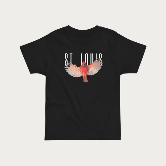 Wingspan Toddler t-shirt