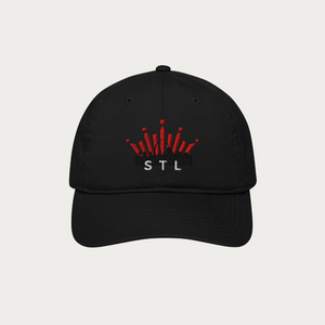 Organic dad hat