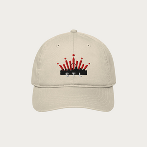 Organic dad hat