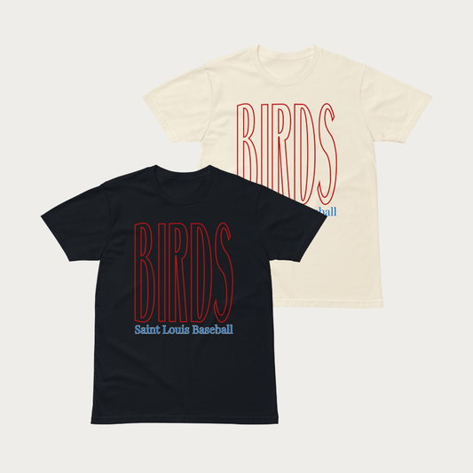 BIRDS Unisex premium t-shirt