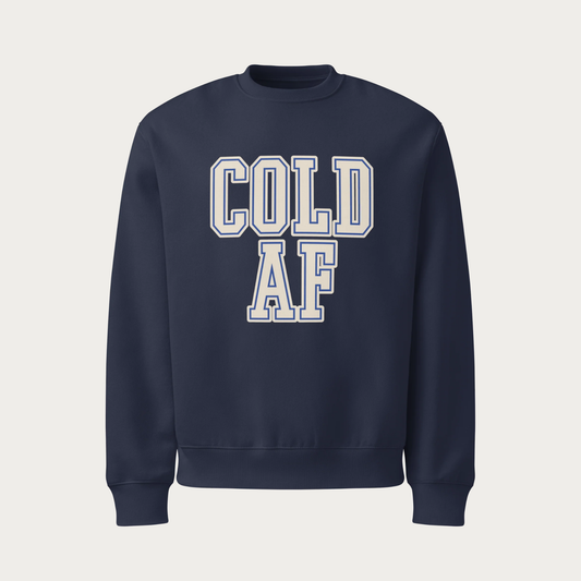 Cold AF Oversized heavyweight sweatshirt