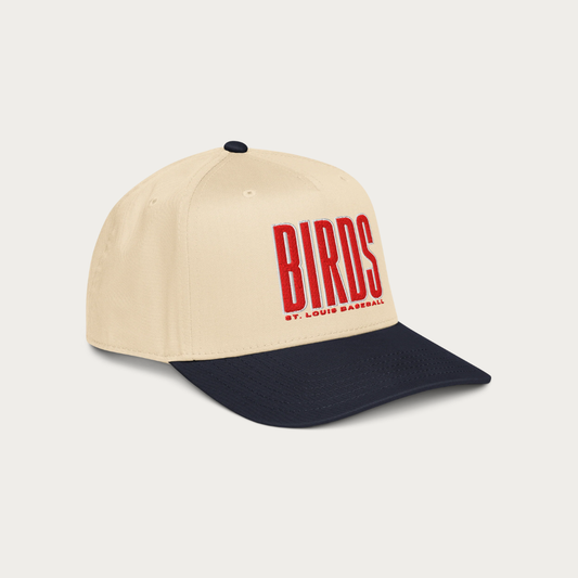 BIRDS 5 panel cap