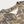 Load image into Gallery viewer, Camo City Circle baseball jersey
