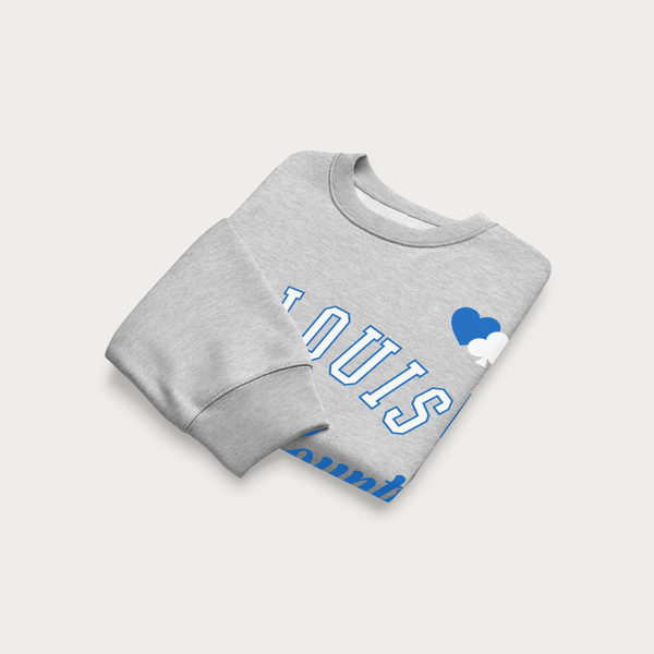 City & County Oversized heavyweight sweatshirt