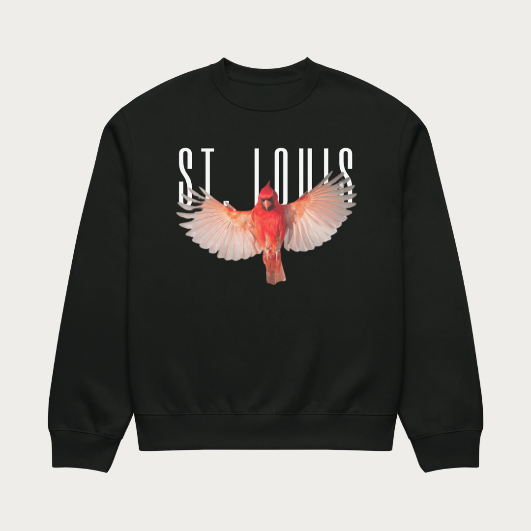 Wingspan Oversized heavyweight sweatshirt