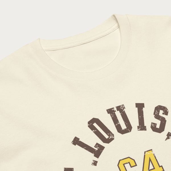 64 Unisex premium t-shirt