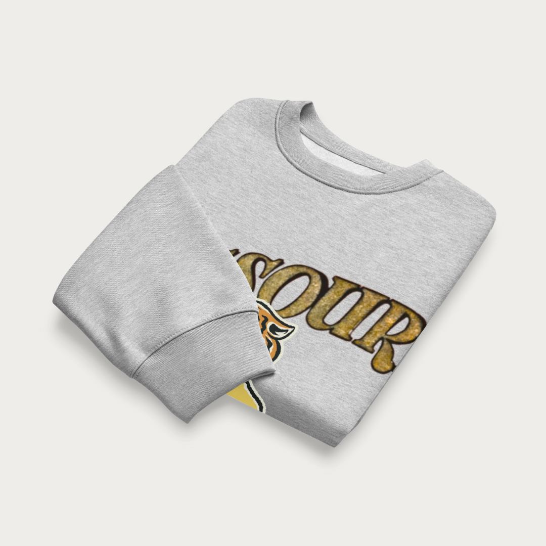 Vintage Missouri Oversized heavyweight sweatshirt