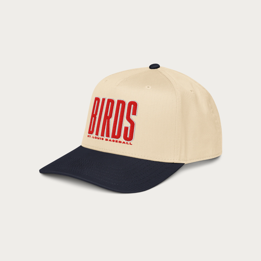 BIRDS 5 panel cap