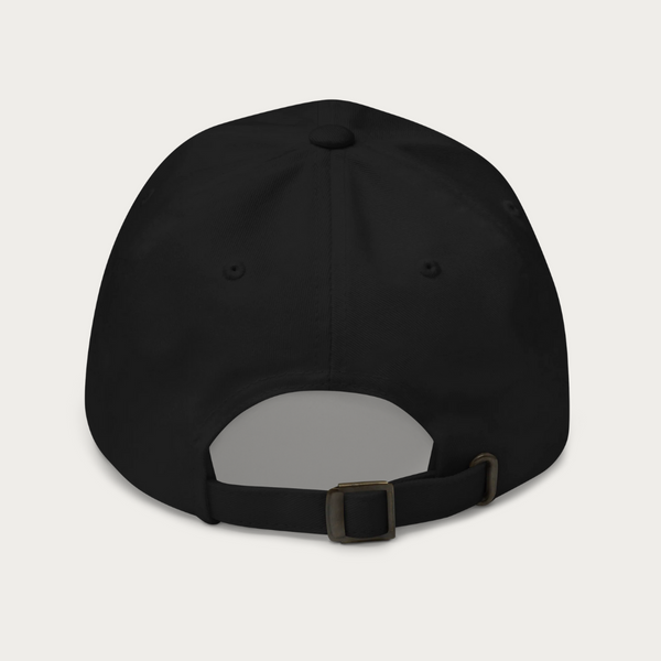 The Hill Dad hat