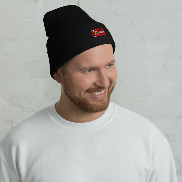 St. Louis Flag Cuffed Beanie