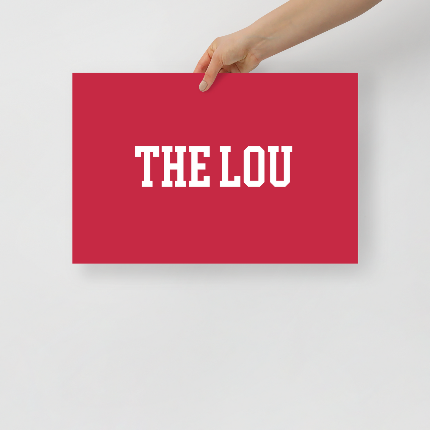 THE LOU Poster